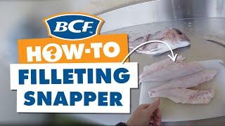 How to Fillet a Snapper - BCF How To