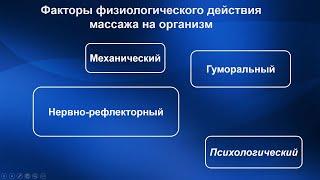 1.09 Механизмы воздействия массажа на организм | Классический массаж. Цикл 1