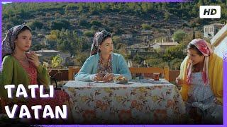 Tatlı Vatan | Türk Komedi Filmi