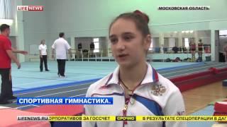 Итоги 2013 года по спортивной гимнастике