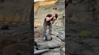 Huge Rock CRACKED For Cephalopod Remnant And Calcite Chunk!