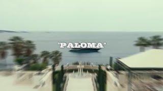 MELODIC Type Beat - "Paloma" - Spanish Guitar Type Beat