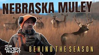 DIY Mule Deer Hunt in the Nebraska Sandhills | Landowner Called, Permission Granted!