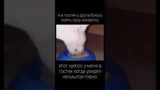 жиза? нет #смех #прикол #рофл #друг #мемы