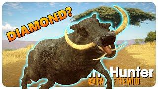 theHunter: Call of the Wild | The Ugliest Animal I've Ever Hunted! (Vurhonga Savanna)