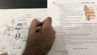 optic nerve revision 1 - dr Ahmed Ashraf