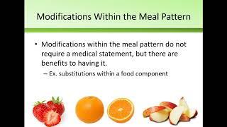 Meal Accommodations in School Nutrition Programs SY21