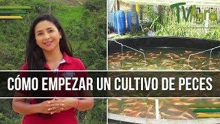 Como empezar un Cultivo de Peces - Piscicultura - TvAgro por Juan Gonzalo Angel