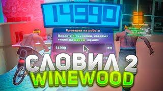 СЛОВИЛ 2 VINEWOOD а в шкафу?... ЛОВЛЯ ДОМОВ на ARIZONA RP