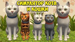 Симулятор КОТА и КОШКИНапал БОСС в СИМЕ cat sim (кат сим)