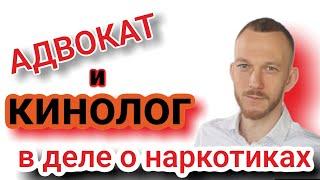 Адвокат и Кинолог в деле о наркотиках.