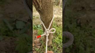 Very Important knot you must learn ️