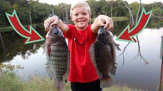 The Secret to Catching Monster Tilapia! {Catch, Clean, and Cook}