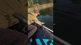 Поймал отпустил#рыбалка #fishing