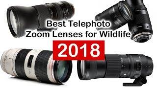 Best Telephoto Zoom Lens for Wildlife Photography 2018