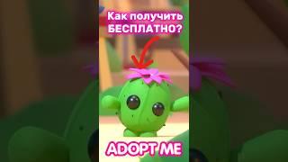 КАК получить БЕСПЛАТНО НОВУЮ ЛЕГУRoyal Desert Egg Adopt Me