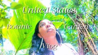 A Peaceful Escape | Walking Through The U.S Botanic Garden