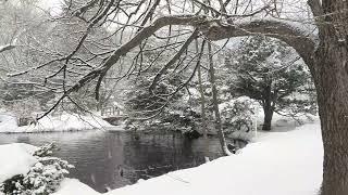 Snow Falling on Lake for 8 Hours | Relaxing, Sleeping, Meditation, Studying, Baby to Sleep