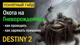 Destiny 2. Все про "Охоту на Гневорожденных"! Сезон "Охота".