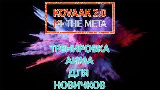 Тренировка аима для новичков в Kovaak 2.0 : The Meta