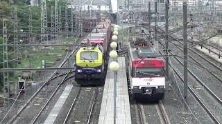 Trenes variados por Sevilla y Visita al Casco Histórico. Renfe Cercanías, AVE, Mercancías...