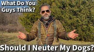 Should You Neuter Your Dog? | Uncle Stonnie's Opinion