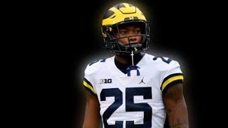 Hassan Haskins 2021 Michigan Wolverines Highlights ᴴᴰ