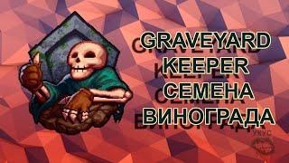 Graveyard Keeper семена винограда