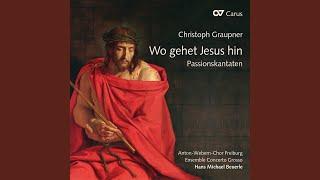 Graupner: Mein Gott, warum hast du mich verlassen, GWV 1127/31 - V. Ich weiß, o Jesu, all dein...