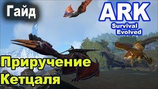 Гайд. Приручение кетцаля - 2 простых способа. ARK Survival Evolved