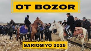 Ot Bozor Narxi Surxondaryo 20-Fevral 2025 Bugun Bozorda Katta Otlar Kirdi Ot Narxlari Sariosiyo