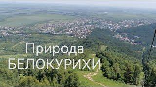 Прогулка по теренкуру. Включите субтитры чтобы увидеть названия. г. Белокуриха. Алтайский край.