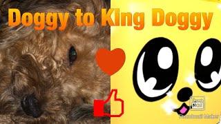 Doggy To Secret (Episode 1)