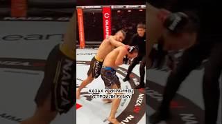 Казах и Украинец устроили рубку#mma #ufc #файтинг #naiza #nfc #бои #бокс