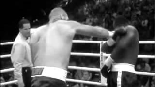 Master Slickster CounterPuncher - SNV