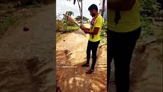 pmbrand9843142625 #viral#unboxing#pmsports #ipl2023 #ucf#pm #cskvsmi