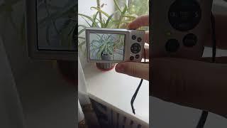 Camera Canon IXUS 175 Silver 20.0MP digital vintage compact retro rareWORKing CHEAP