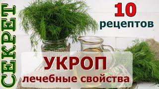 От каких болезней помогает укроп  Лечебные свойства укропа