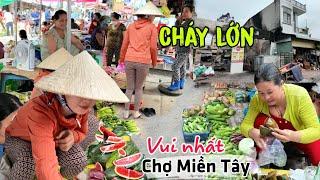 Vui nhất chợ Miền Tây Thanh Bình Đồng Tháp - Cảnh báo hỏa hoạn, tiểu thương kêu trời Ế