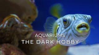 Aquariums: The Dark Hobby | Accolades Trailer