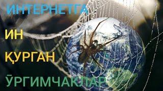 Afzal Rafiqov - Internetga in qurgan o'rgimchaklar (1)