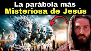 El VERDADERO SIGNIFICADO de la PARABOLA Del Sembrador (Enseñanzas de Jesús)