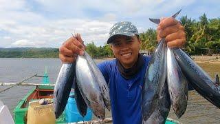 Napakamahal ng ganitong isda ngayong amihan