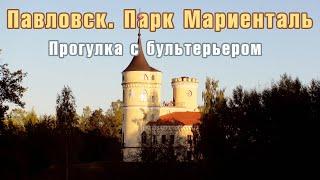 Гуляем с бультерьером в Павловске. Парк Мариенталь.