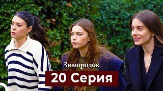 Зимородок 20 Cерия (Русский дубляж)