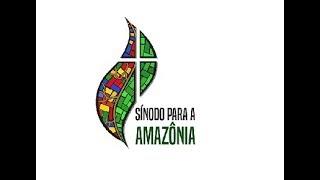 Sínodo para a Amazônia