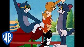 Tom & Jerry in italiano | Classico Dei Cartoni Animati 103 | WB Kids