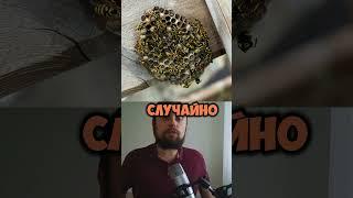 Эти 6 советов работают лучше, чем ты думаешь #shorts, #viral, #trending, #foryou