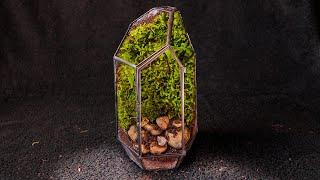 Live Moss Forest in a Glass House (Moss Terrarium)