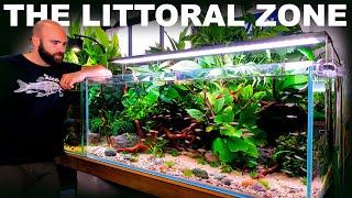 The Littoral Zone: EPIC Open Beach Community Aquarium (Aquascape Tutorial)
